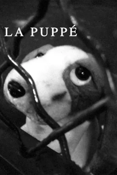 La Puppé