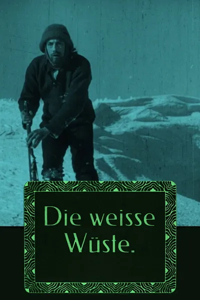 The White Desert