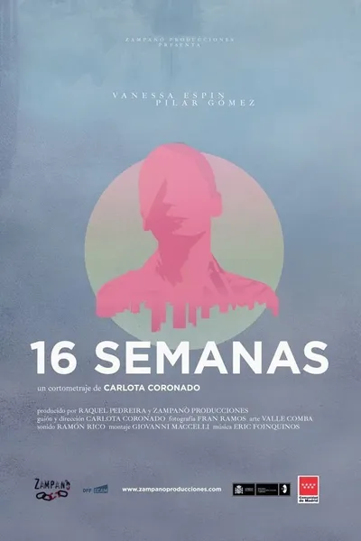 16 semanas