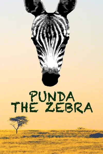 Punda the Zebra