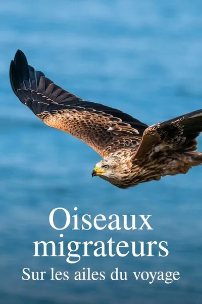 Zugvögel - Ein Jahr vergeht im Flug