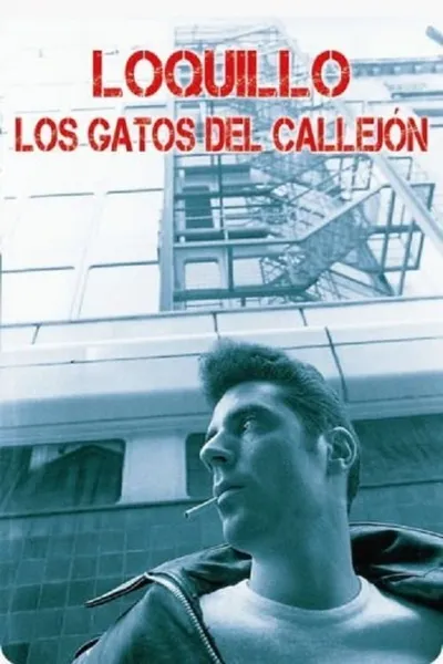 Los gatos del callejón