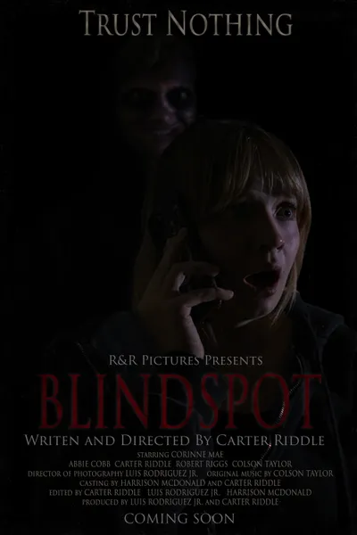 BLINDSPOT