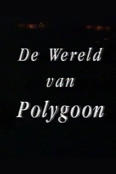 The World of Polygoon