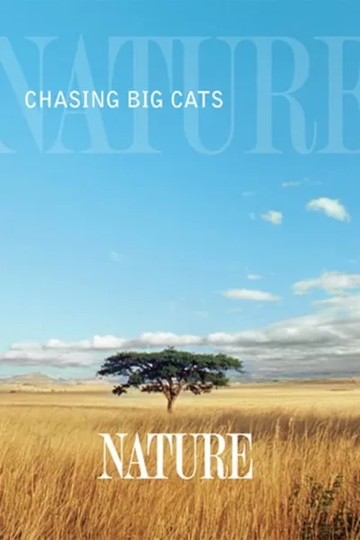 Chasing Big Cats