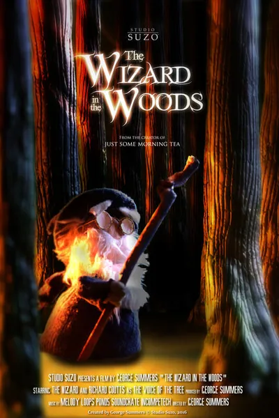 The Wizard in the Woods