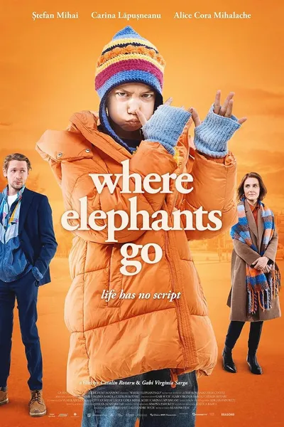 Where Elephants Go