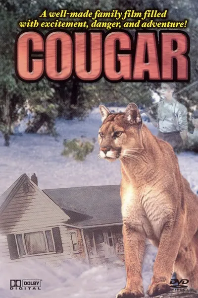 Cougar