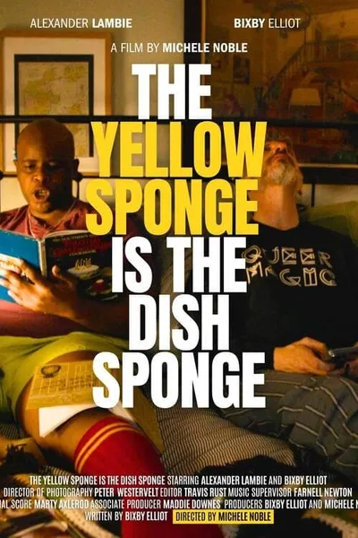 The Yellow Sponge is the Dish Sponge