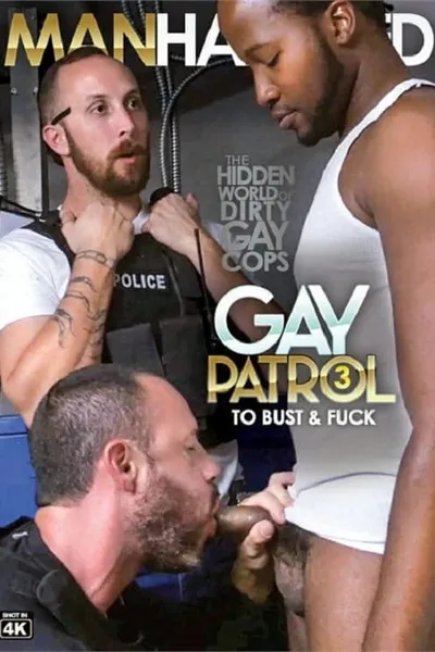 Gay Patrol 3