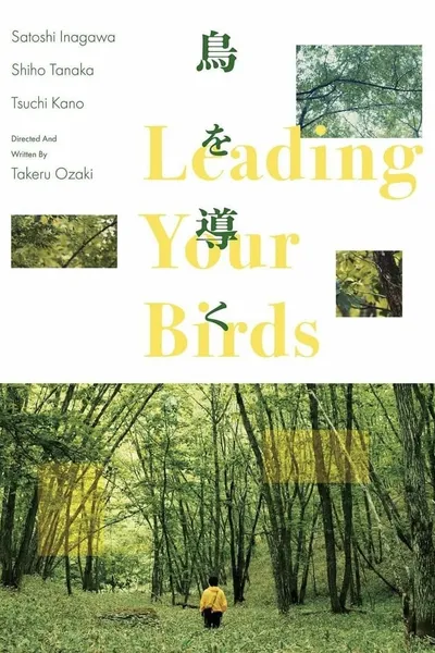 Leading Your Birds