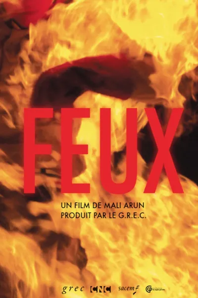 Feux