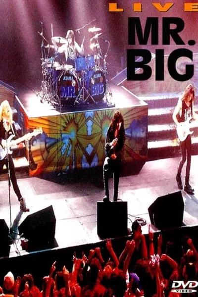 Mr. Big: Live