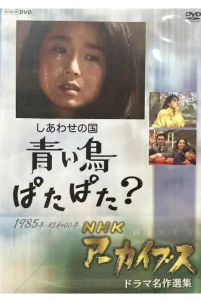 Shiawase no Kuni: Aoi Tori Patapata?