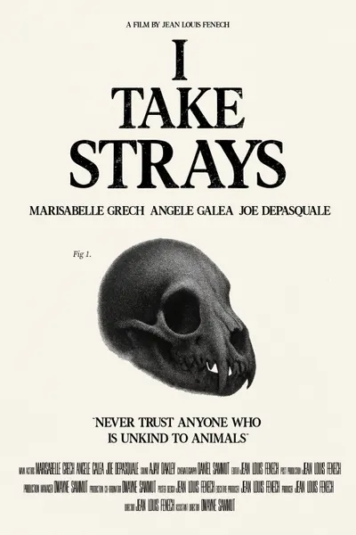 I TAKE STRAYS