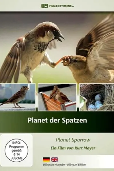 Planet der Spatzen