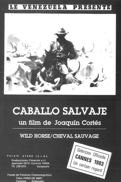 Caballo salvaje