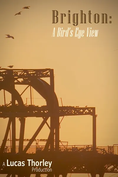 Brighton: A Bird's Eye View