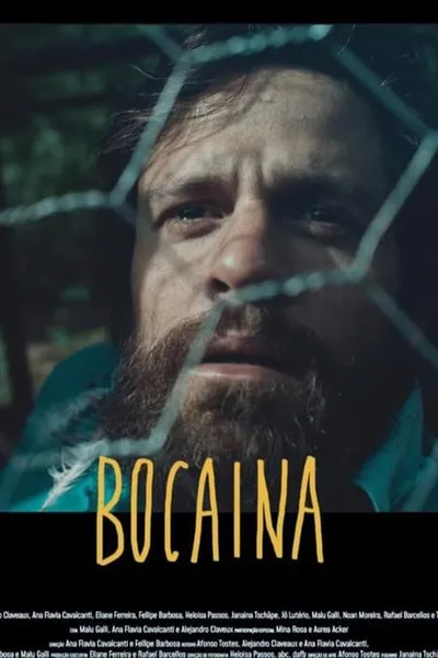 Bocaína