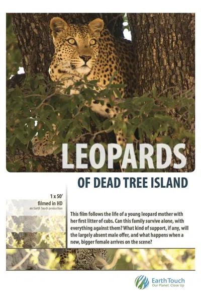 Leopards of Dead Tree Island