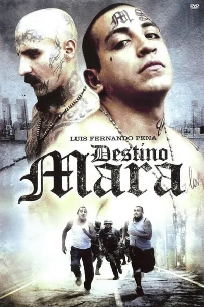 Destino Mara