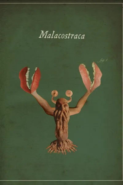 Malacostraca