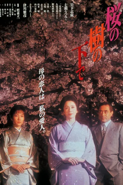 Cherry Blossoms