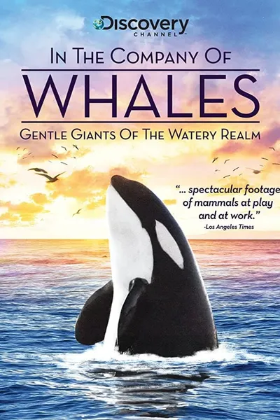 In the Company of Whales