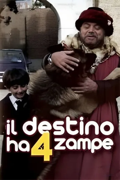 Il destino ha 4 zampe