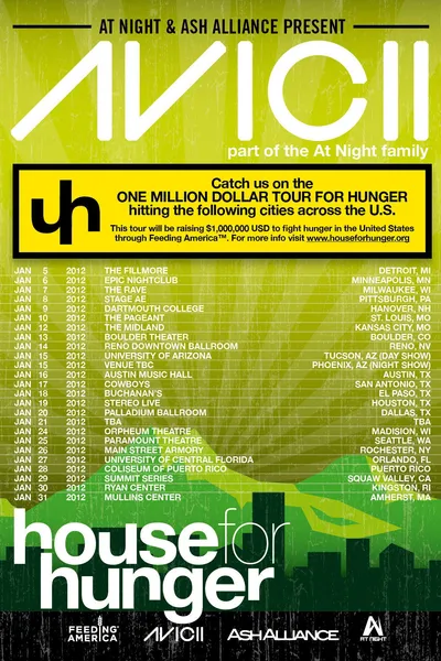 Avicii on Tour