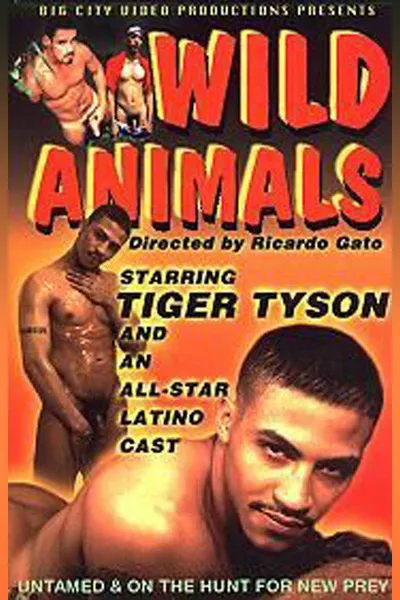 Wild Animals