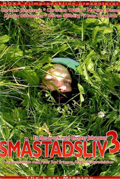 Småstadsliv 3