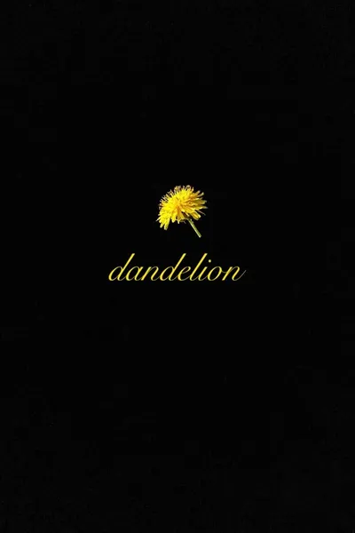 Dandelion