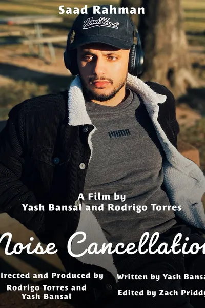 Noise Cancellation