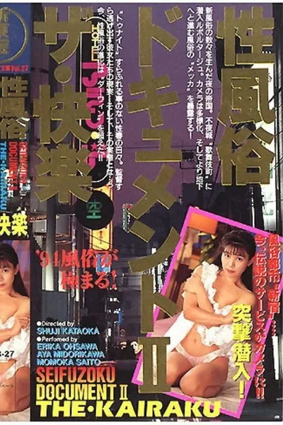 Sei fûzoku document 2: The kairaku