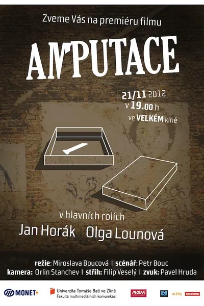 Amputace