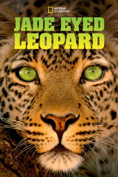 Jade Eyed Leopard