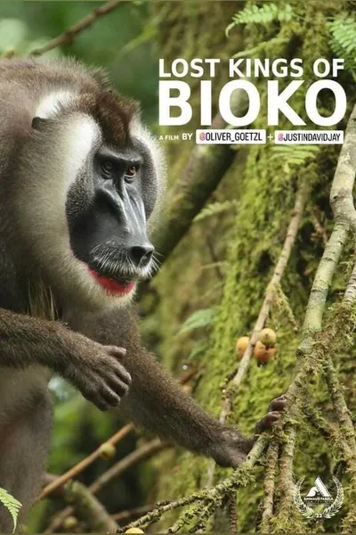 Lost Kings of Bioko