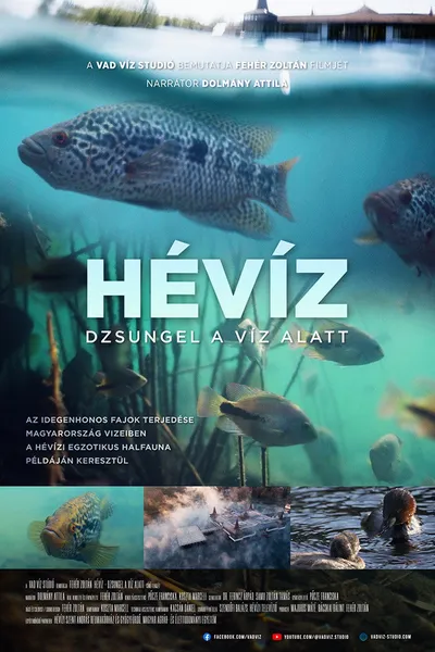 The Underwater Jungle