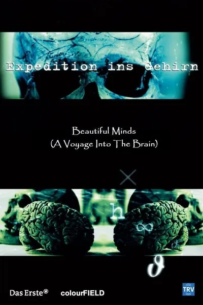 Beautiful Minds - Voyage into the Brain