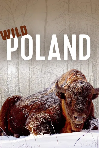 Wild Poland