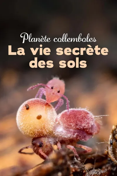 Springtails: The hidden soldiers of Earth