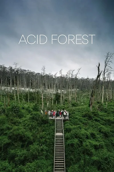 Acid Forest