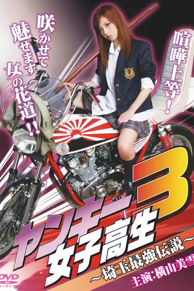 Yankee High School Girl 3~Saitama's Greatest Legend~