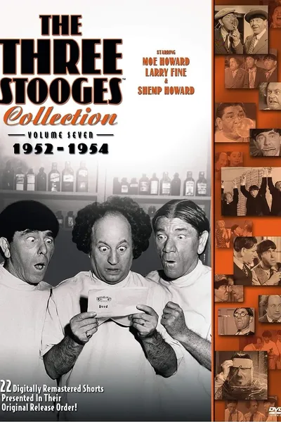 The Three Stooges Collection, Vol. 7: 1952-1954