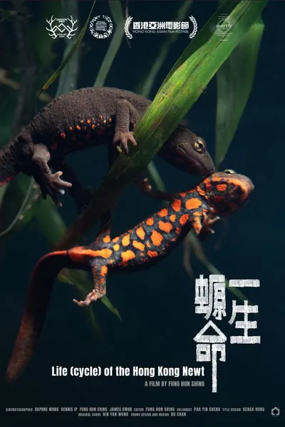 Life (cycle) of the Hong Kong Newt