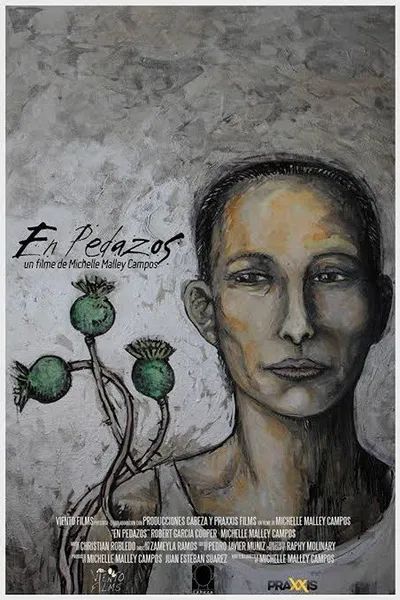 En pedazos