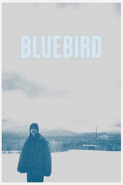 Bluebird