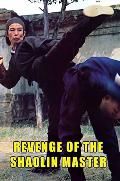 Revenge of a Shaolin Master