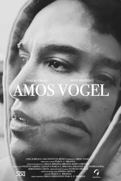 Amos, Vogel